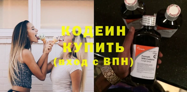 дживик Белокуриха