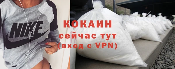 индика Беломорск
