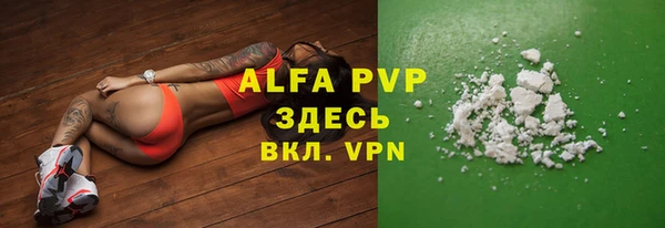 дживик Белокуриха