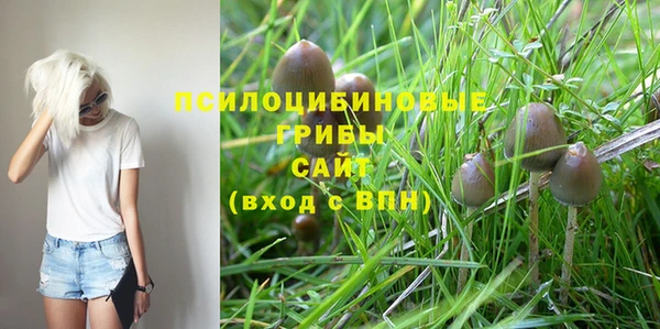 дживик Белокуриха