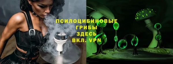 дживик Белокуриха