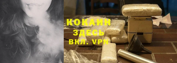 дживик Белокуриха