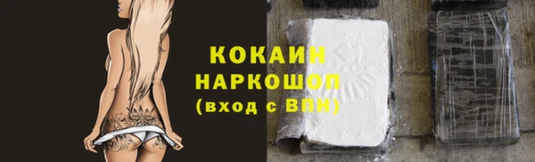 индика Беломорск
