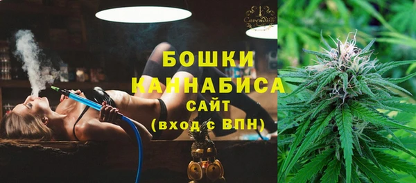 дживик Белокуриха