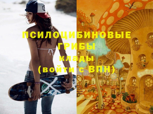 дживик Белокуриха