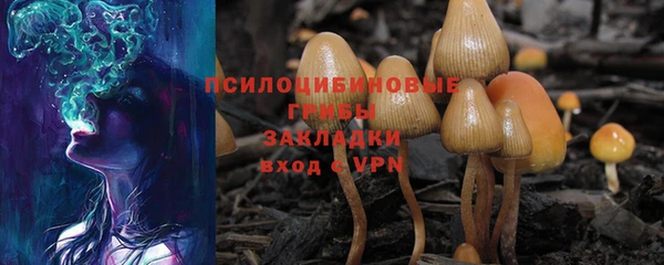 мяу мяу мука Балабаново