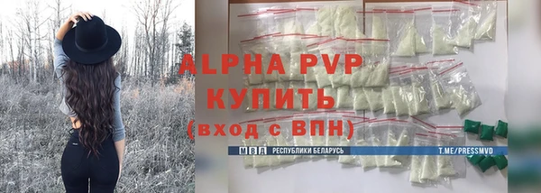 индика Беломорск