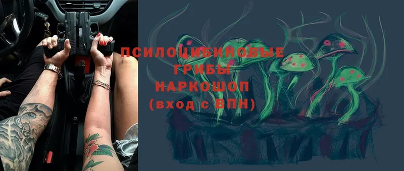 где найти наркотики  shop формула  кракен ТОР  Псилоцибиновые грибы прущие грибы  Бобров 